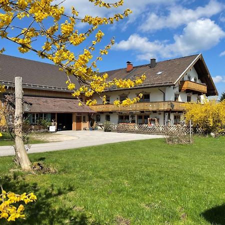 Ferienwohnungen Dopplerhof Piding Eksteriør billede